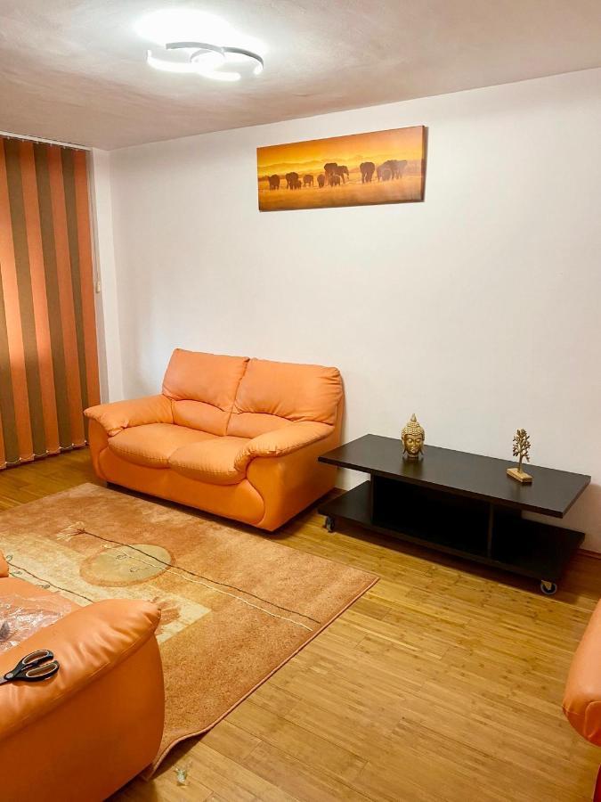 Jad - Familiy 4 Rooms Apartment - Near Forest And Historic Center - Racadau Брашов Екстер'єр фото