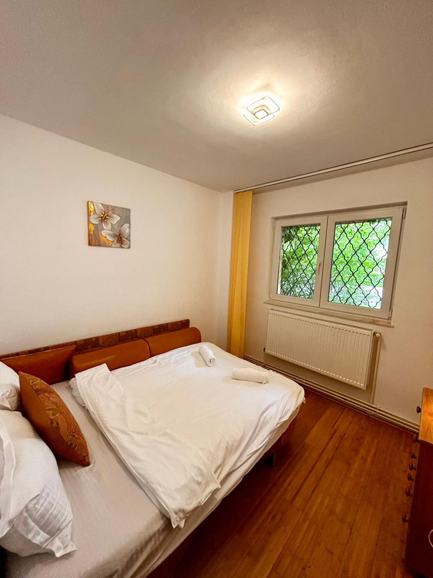 Jad - Familiy 4 Rooms Apartment - Near Forest And Historic Center - Racadau Брашов Екстер'єр фото
